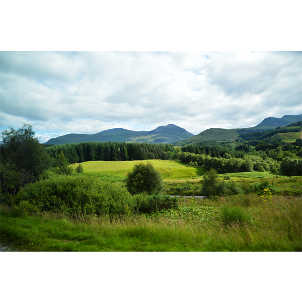 Grass and mountains fotografi fra Skotland - wolfdesign