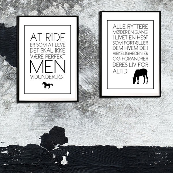 Indtil Der er behov for vegetarisk Oplevelser mellem hest og rytter - Til jer der elsker heste - Tekst plakater